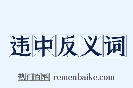 违中反义词是什么意思的图片